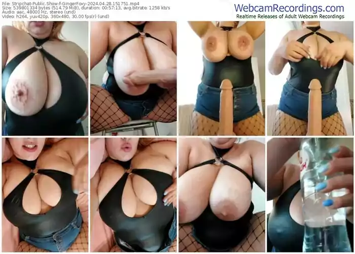 stripchat-gingerfoxy-04-28-2024-15-17-51