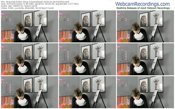 stripchat-gwenedsall-04-28-2024-09-29-56