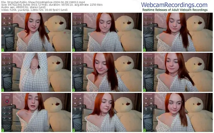 stripchat-kissmealice-04-28-2024-19-40-12