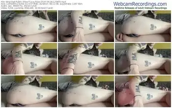 stripchat-liza_rosa-04-28-2024-12-58-55