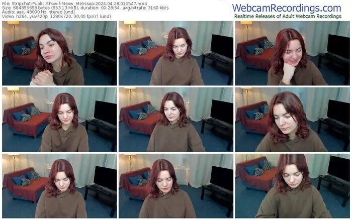 stripchat-meow_melissaa-04-28-2024-01-25-47