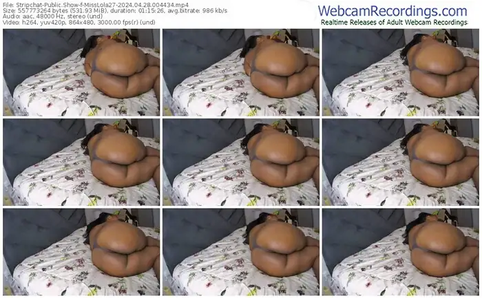 stripchat-misslola27-04-28-2024-00-44-34