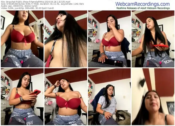 stripchat-pamelaftmia-04-28-2024-13-13-25