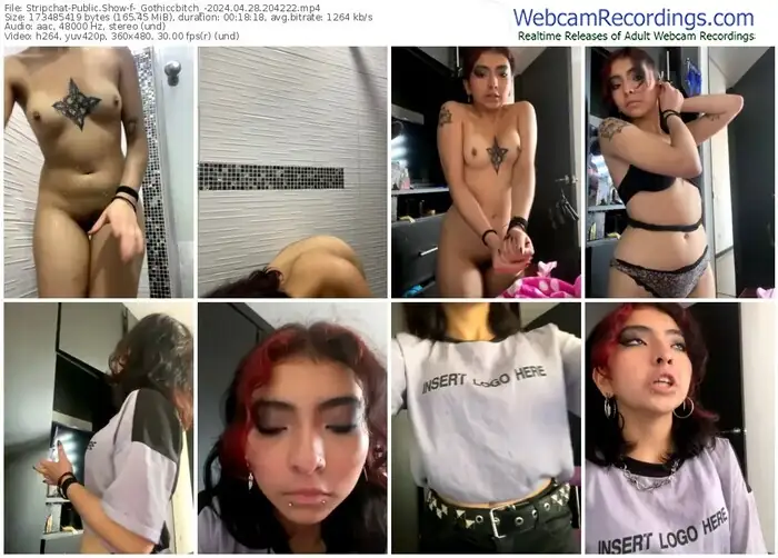 stripchat-_gothiccbitch_-04-28-2024-20-42-22