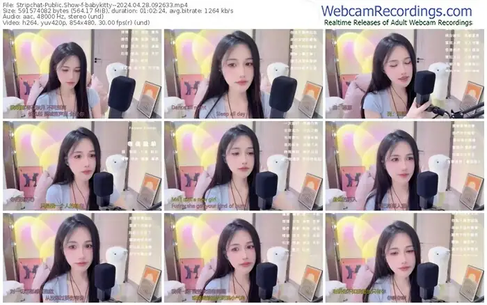 stripchat-babykitty--04-28-2024-09-26-33