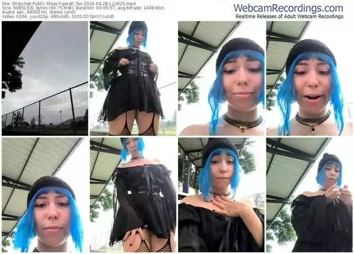 stripchat-gerall_fox-04-28-2024-12-29-25