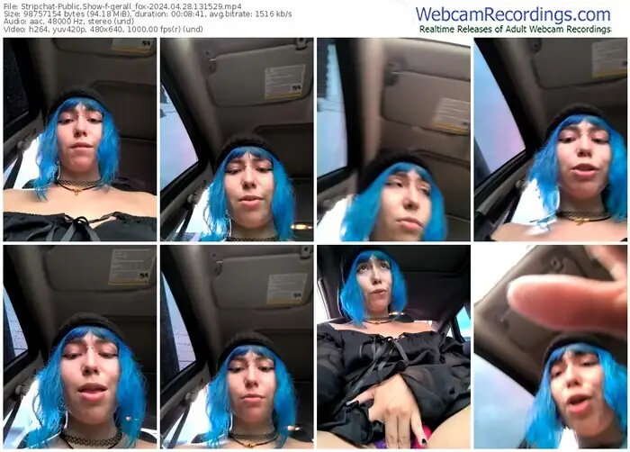 stripchat-gerall_fox-04-28-2024-13-15-29