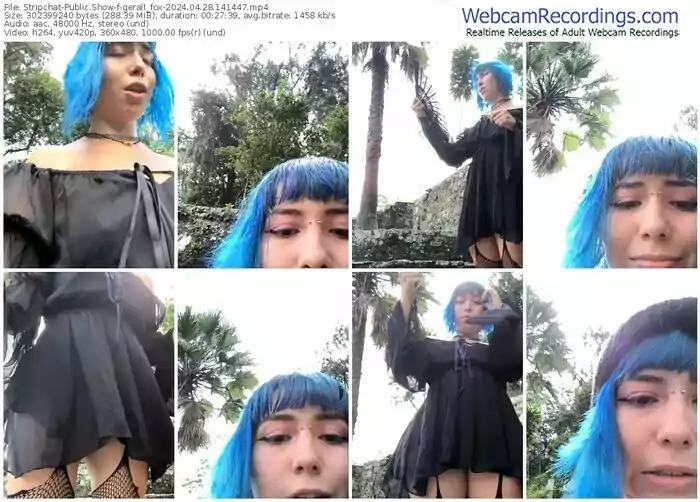 stripchat-gerall_fox-04-28-2024-14-14-47