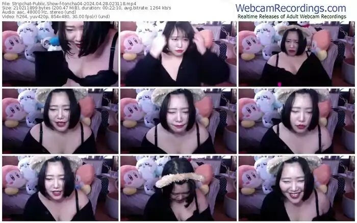 stripchat-toncha04-04-28-2024-02-31-18