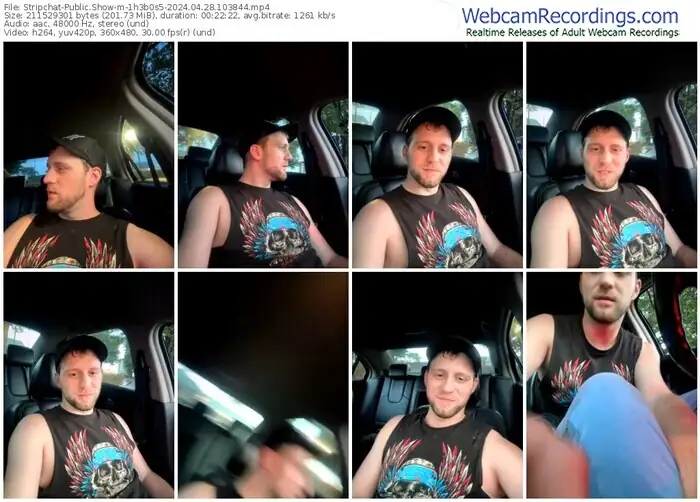 stripchat-1h3b0s5-04-28-2024-10-38-44