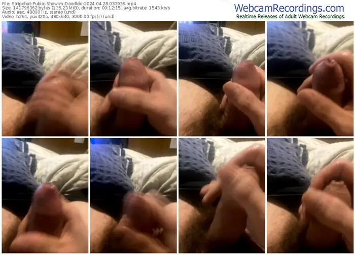 stripchat-doodldo-04-28-2024-03-39-39