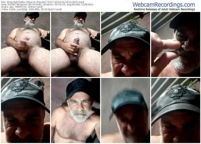 stripchat-peludo173317-04-28-2024-21-29-31