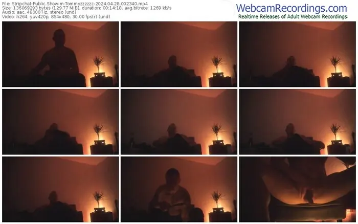 stripchat-tommyzzzzzz-04-28-2024-00-23-40