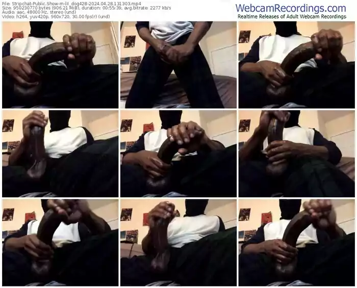 stripchat-lil_dog428-04-28-2024-13-13-03