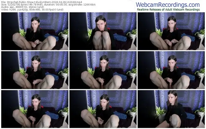 stripchat-evelynstern-04-28-2024-16-20-48