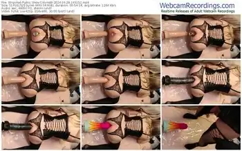 stripchat-ylvis88-04-28-2024-19-31-52