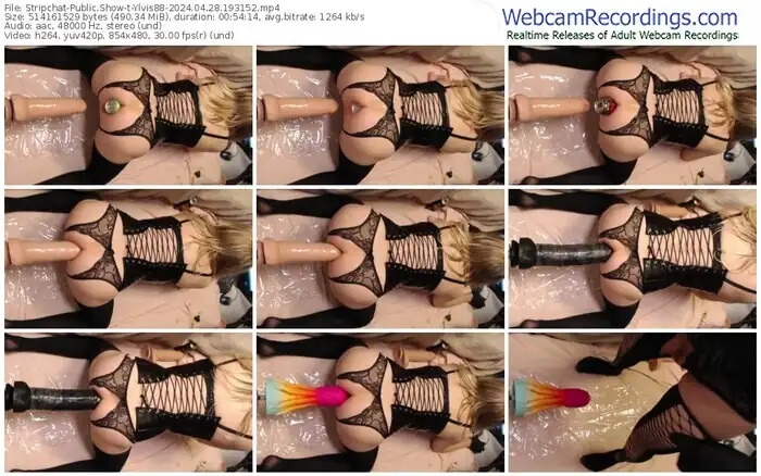 stripchat-ylvis88-04-28-2024-19-31-52