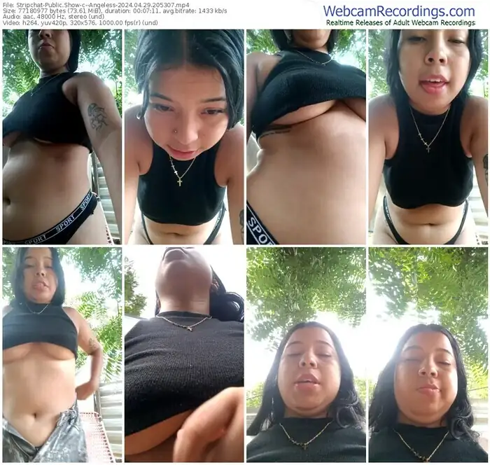 stripchat--angeless-04-29-2024-20-53-07