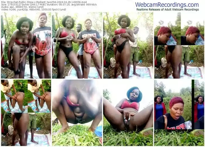 stripchat-rediant_two256-04-29-2024-14-36-56