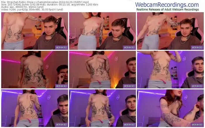 stripchat-chamomilecoalas-04-29-2024-15-46-57