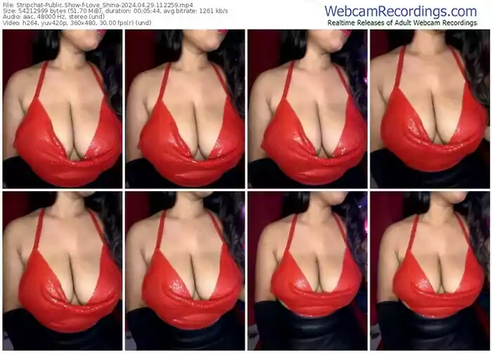 stripchat-love_shina-04-29-2024-11-22-59