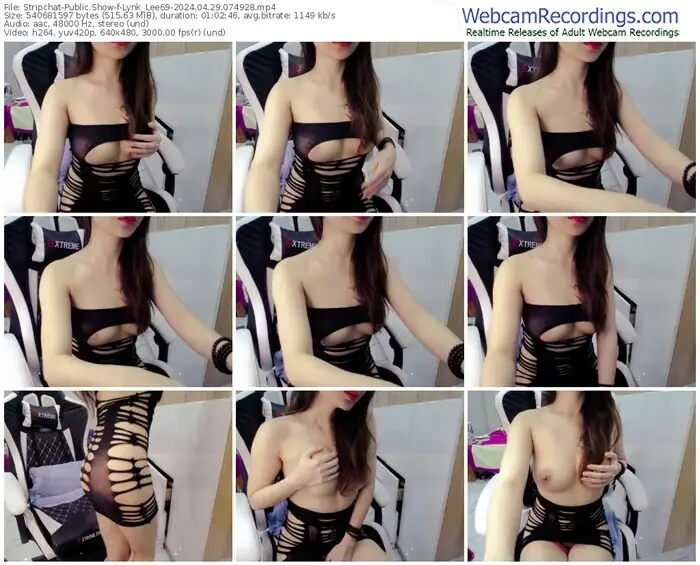 stripchat-lynk_lee69-04-29-2024-07-49-28