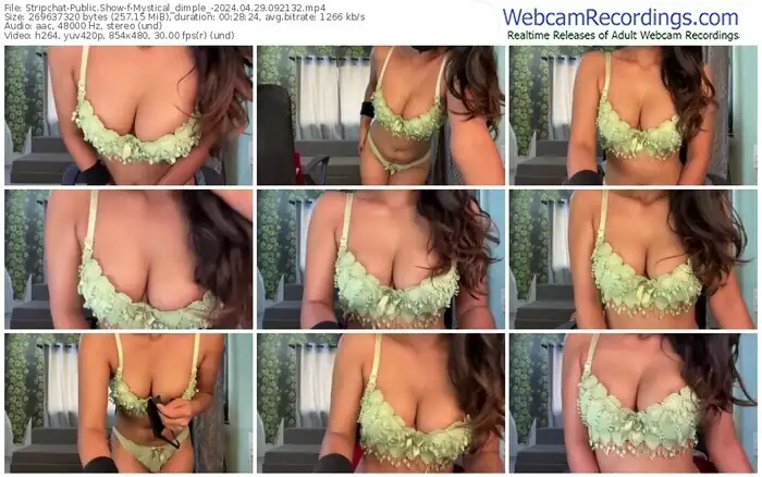 stripchat-mystical_dimple_-04-29-2024-09-21-32