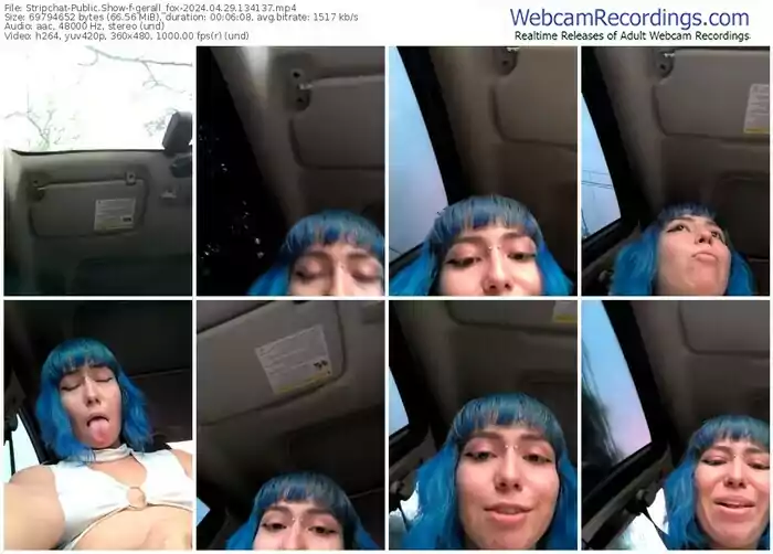 stripchat-gerall_fox-04-29-2024-13-41-37