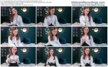 stripchat-willow_fox-04-29-2024-22-36-03