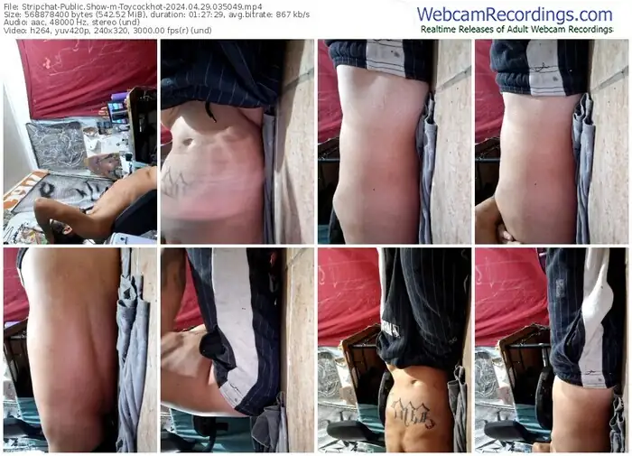 stripchat-toycockhot-04-29-2024-03-50-49