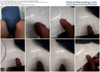 stripchat-vauz5-04-29-2024-08-23-39