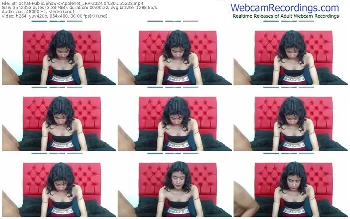 stripchat-applehot_lrr-04-30-2024-15-52-23