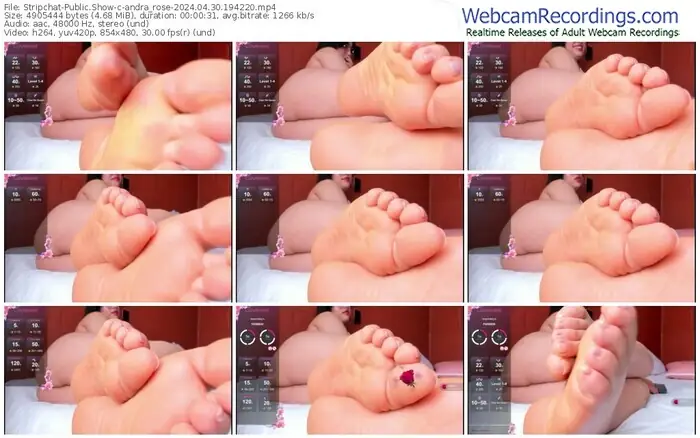 stripchat-andra_rose-04-30-2024-19-42-20