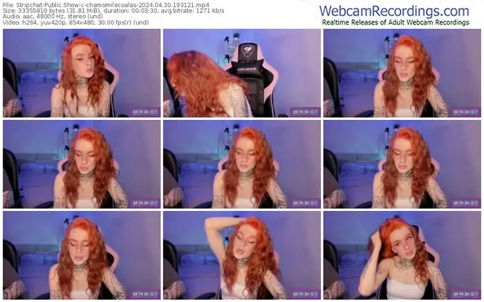 stripchat-chamomilecoalas-04-30-2024-19-31-21