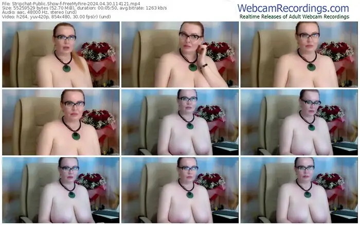 stripchat-freemyfire-04-30-2024-11-41-21