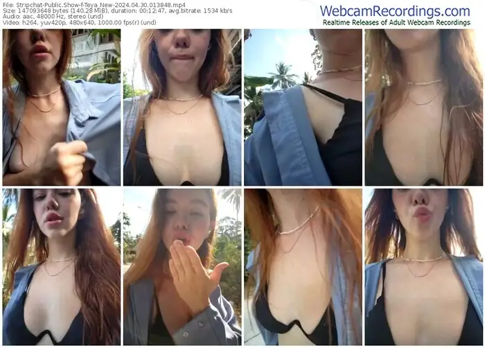 stripchat-teya_new-04-30-2024-01-38-48