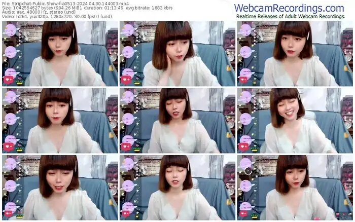 stripchat-a0513-04-30-2024-14-40-03