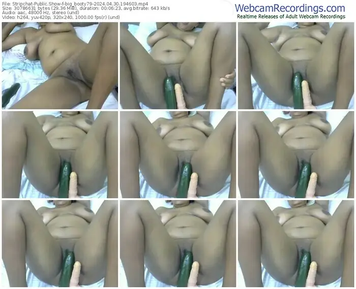 stripchat-big_booty79-04-30-2024-19-46-03