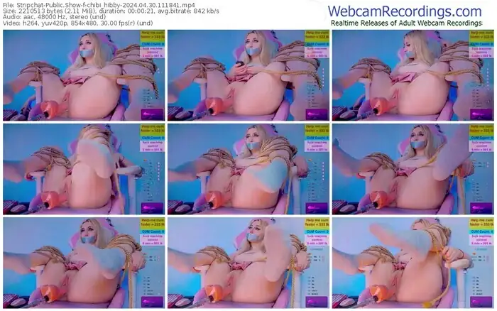 stripchat-chibi_hibby-04-30-2024-11-18-41