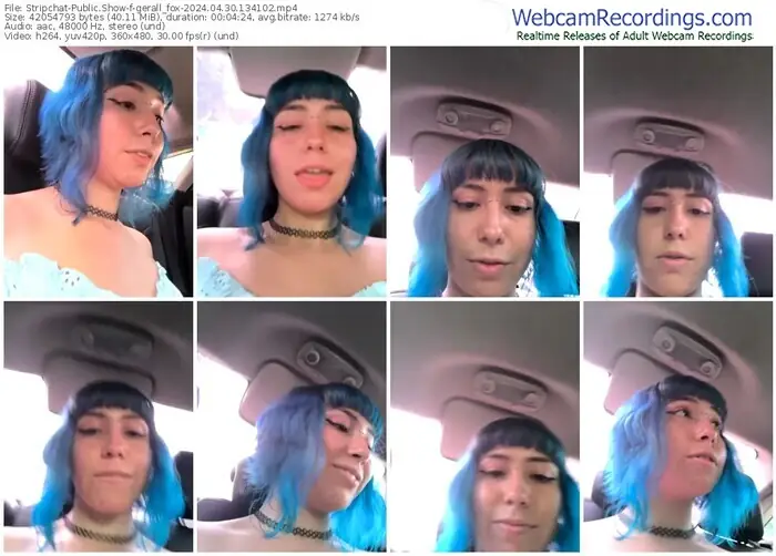 stripchat-gerall_fox-04-30-2024-13-41-02