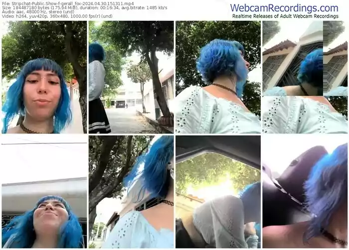 stripchat-gerall_fox-04-30-2024-15-13-11