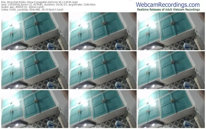 stripchat-giagia96-04-30-2024-11-35-35