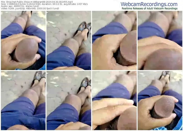 stripchat-88karan88-04-30-2024-09-24-55