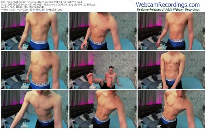 stripchat-alexseliver-04-30-2024-14-12-03