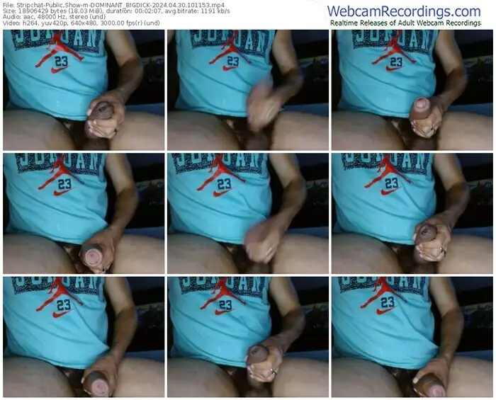 stripchat-dominant_bigdick-04-30-2024-10-11-53