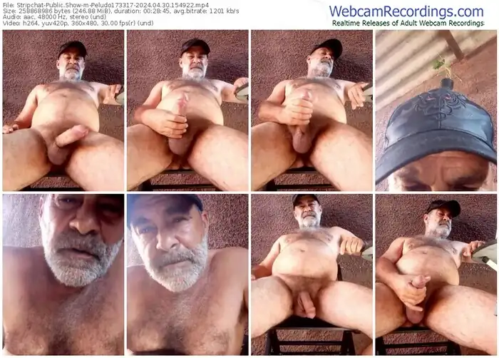 stripchat-peludo173317-04-30-2024-15-49-22