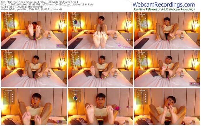stripchat-_andyy__-04-30-2024-15-45-22