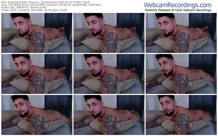 stripchat-_dylangreen-04-30-2024-07-39-17