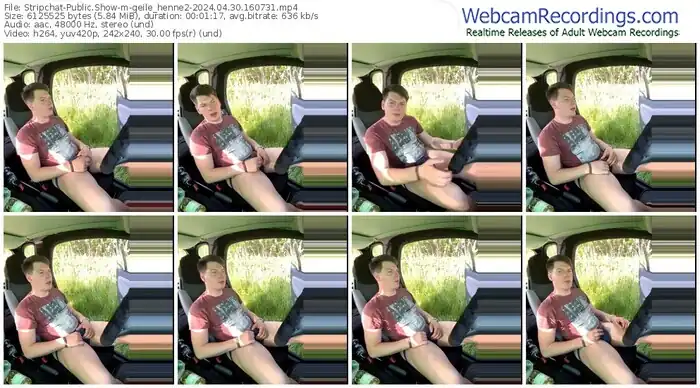 stripchat-geile_henne2-04-30-2024-16-07-31