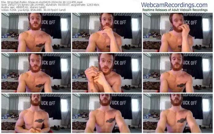 stripchat-slut0420-04-30-2024-11-14-55